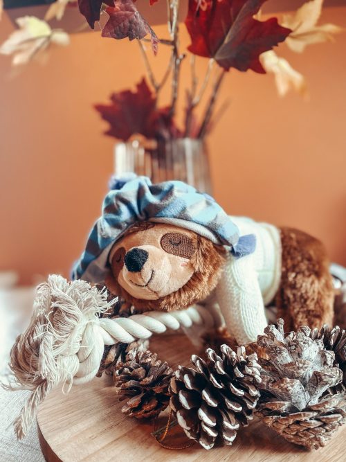 BAASJE - Erkend huiselijk hondenpension - FRINGE - BAASJE DIERENOPPAS & BOETIEK - Beanie sweater sloth on a rope