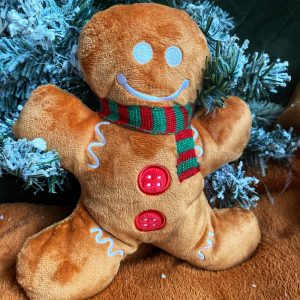 BAASJE - Erkend huiselijk hondenpension - PETPLAY - Gingerbread Man