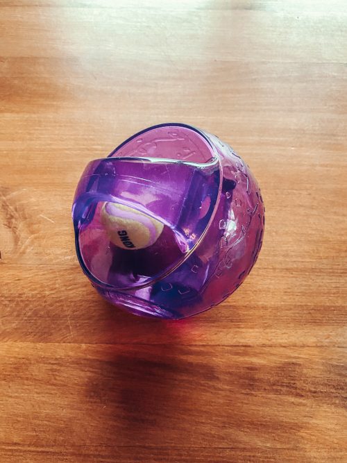 BAASJE - kleinschalig & huiselijk hondenpension - Kong jumbler ball gemengde kleuren - klein 5