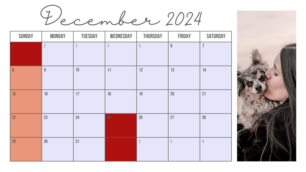 KALENDER BAASJE - December - 2024