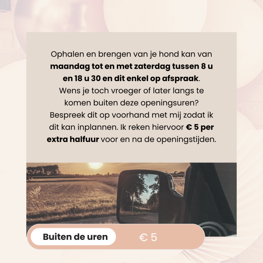 BAASJE - DIERENBOETIEK - DIERENOPPAS - huiselijk hondenpension - erkend hondenpension - tarieven - diensten - buiten de uren