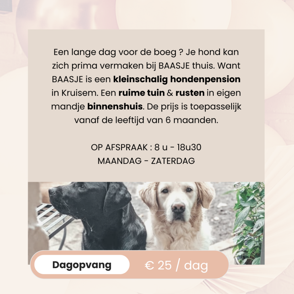 BAASJE - DIERENBOETIEK - DIERENOPPAS - huiselijk hondenpension - erkend hondenpension - tarieven - diensten - dagopvang