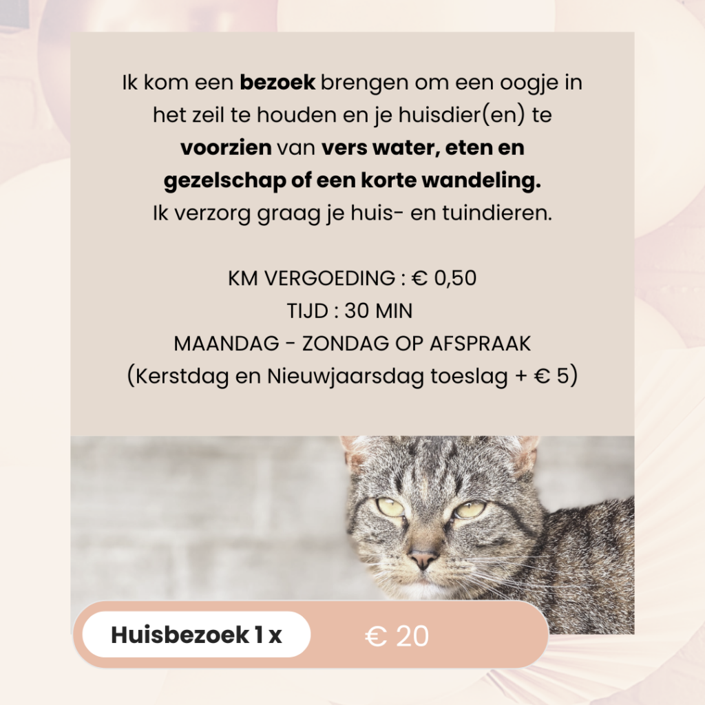 BAASJE - DIERENBOETIEK - DIERENOPPAS - huiselijk hondenpension - erkend hondenpension - tarieven - diensten - huisbezoek 1X