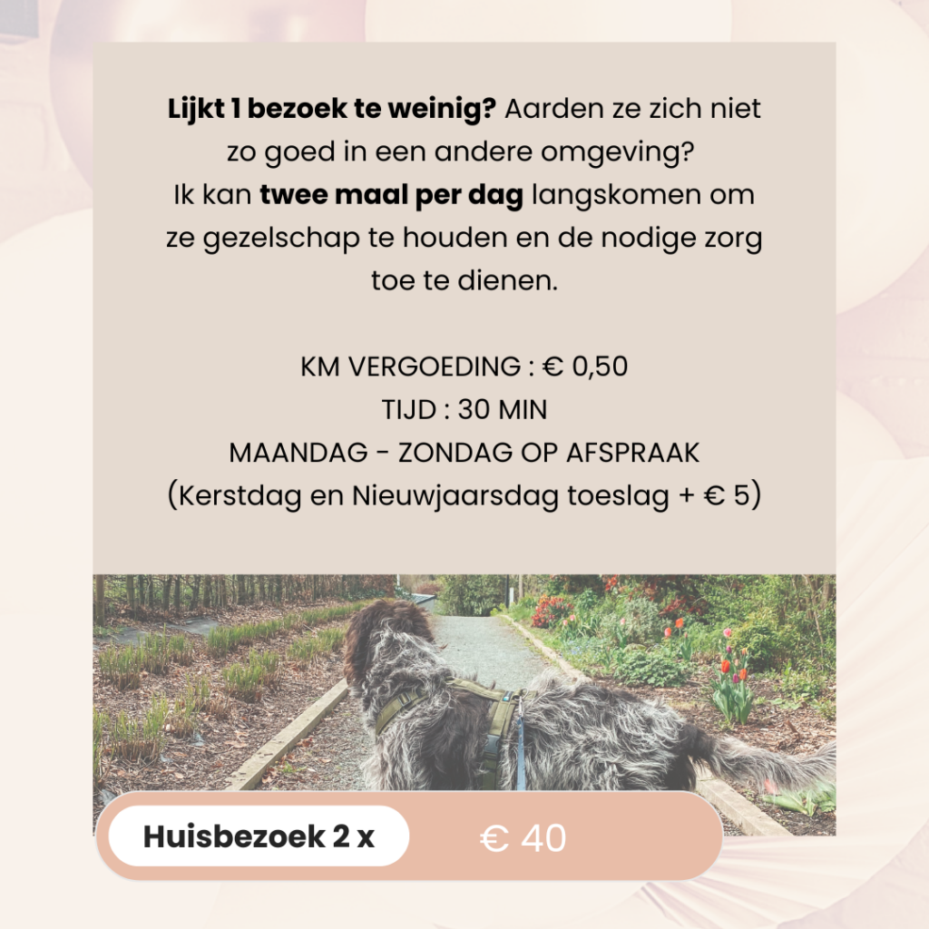 BAASJE - DIERENBOETIEK - DIERENOPPAS - huiselijk hondenpension - erkend hondenpension - tarieven - diensten - huisbezoek 2X