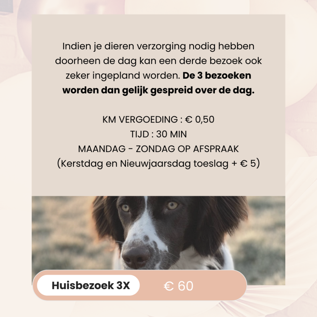 BAASJE - DIERENBOETIEK - DIERENOPPAS - huiselijk hondenpension - erkend hondenpension - tarieven - diensten - huisbezoek 3X